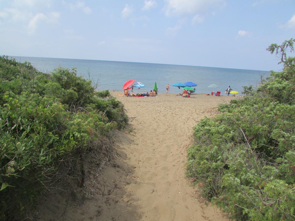 坎丕里亚麦利蒂玛Azienda Agrituristica Allumiere别墅 外观 照片
