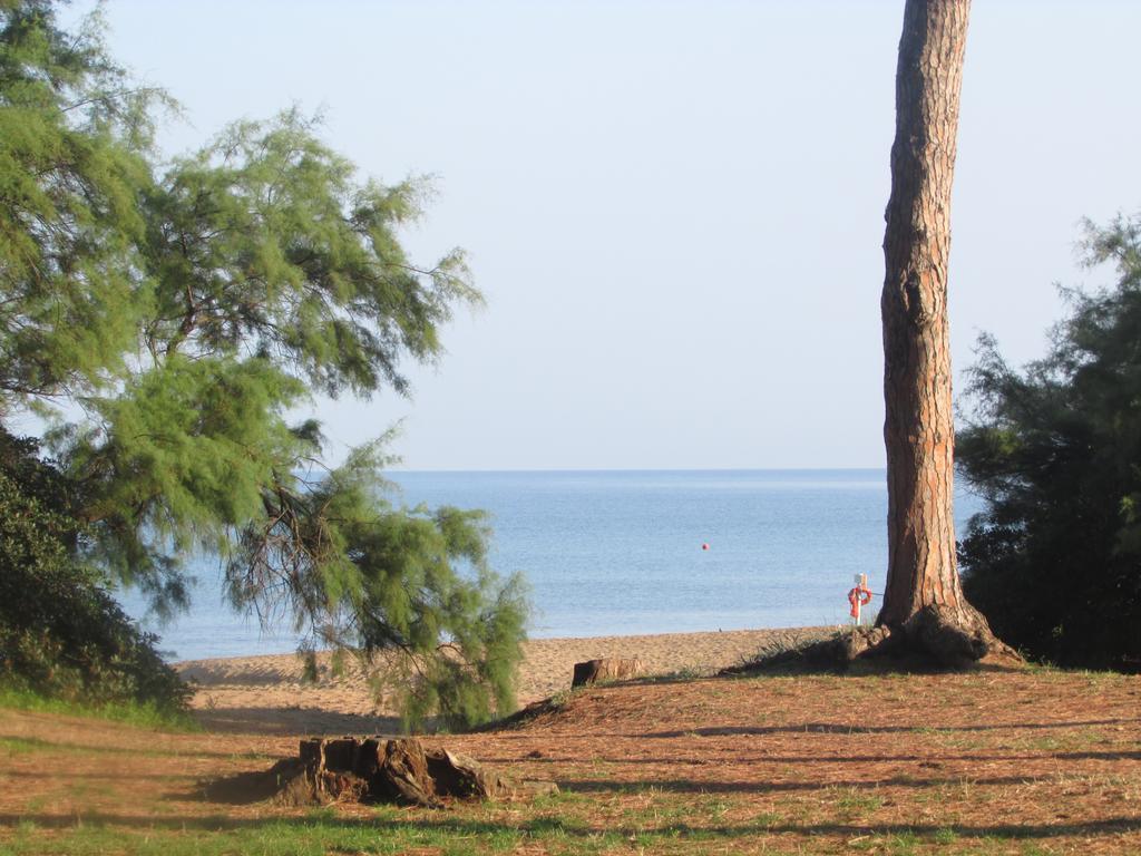 坎丕里亚麦利蒂玛Azienda Agrituristica Allumiere别墅 外观 照片