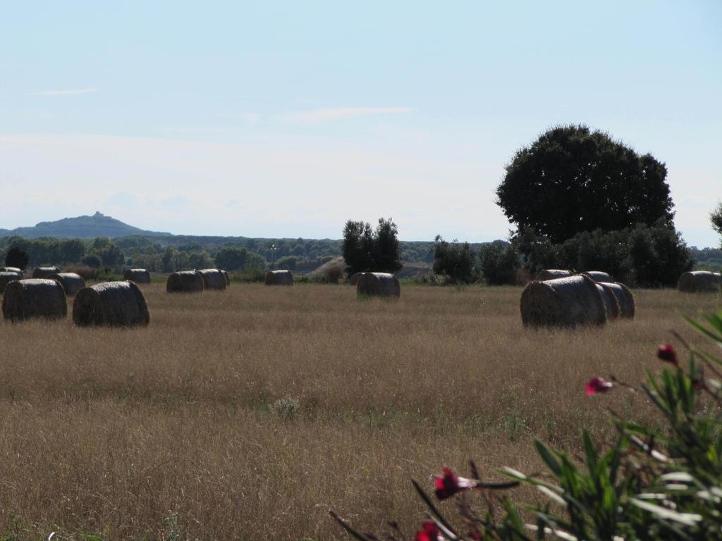 坎丕里亚麦利蒂玛Azienda Agrituristica Allumiere别墅 外观 照片