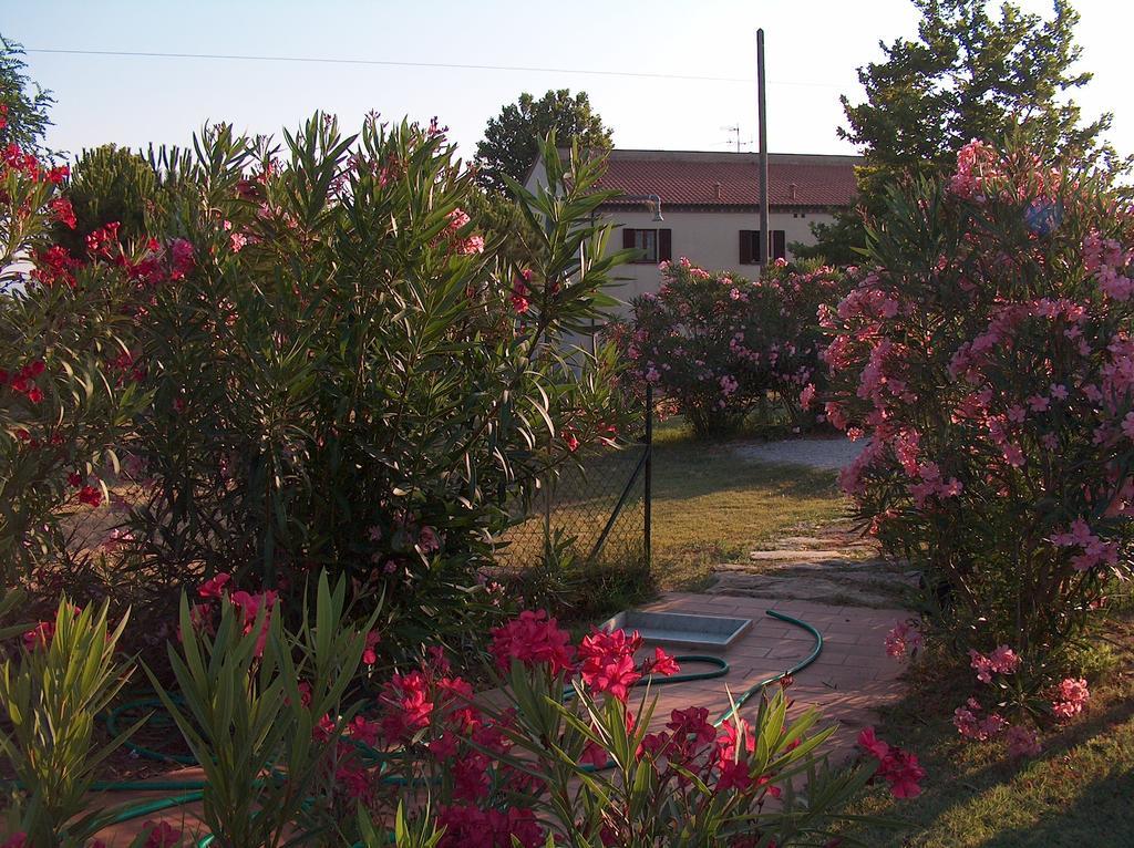 坎丕里亚麦利蒂玛Azienda Agrituristica Allumiere别墅 外观 照片